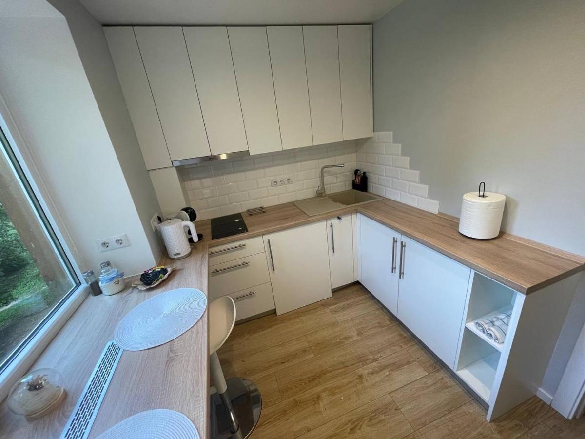 Modern 1Br Haven Near Two Parks Διαμέρισμα Ρίγα Εξωτερικό φωτογραφία